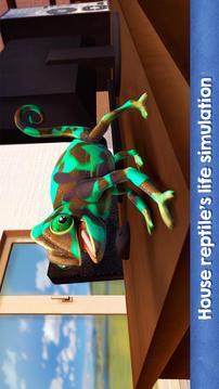 Chameleon Home Pet Lizard Simulator 3D游戏截图4