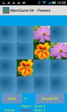 MemGame 04 - Flowers游戏截图5