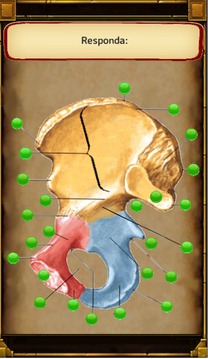 Jogando E Aprendendo Anatomia游戏截图3