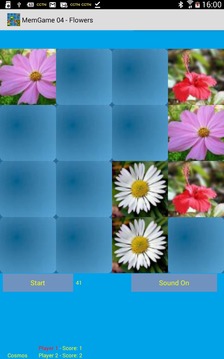 MemGame 04 - Flowers游戏截图2