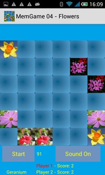 MemGame 04 - Flowers游戏截图4