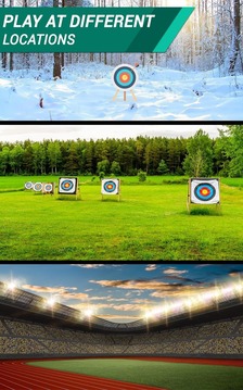 Olympic Archery游戏截图5