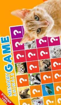记忆游戏：动物游戏截图2