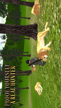 Lion Hunting - Jungle Animal Hunter 3D 2018游戏截图3