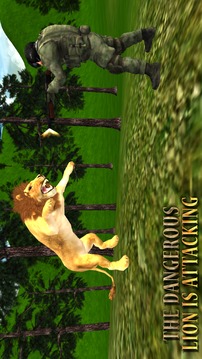 Lion Hunting - Jungle Animal Hunter 3D 2018游戏截图2