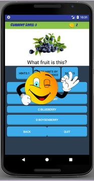 Fruit Quiz 2018游戏截图1