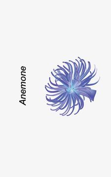 Anemone Reality游戏截图2