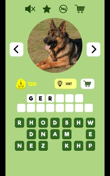 Dogs Quiz - Guess The Dog Breed游戏截图2