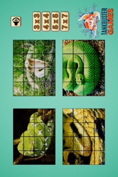 Snake Puzzle HD游戏截图3