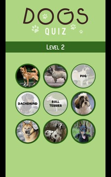 Dogs Quiz - Guess The Dog Breed游戏截图4