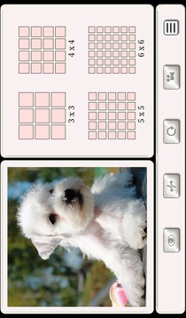 的拼图和猜品种的狗游戏截图1