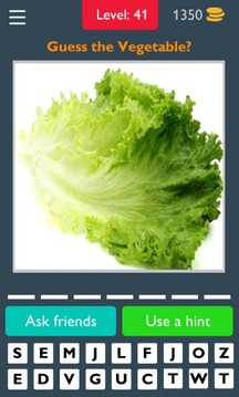 Veggies Quiz - Guess Veggies游戏截图2