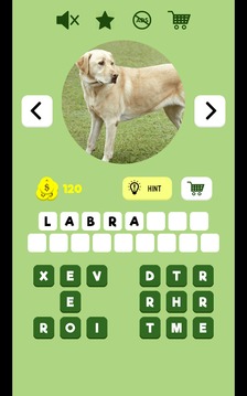 Dogs Quiz - Guess The Dog Breed游戏截图3