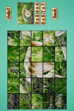 Snake Puzzle HD游戏截图4