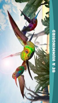 Humming Bird Simulator - Tiny Bird Adventure游戏截图4