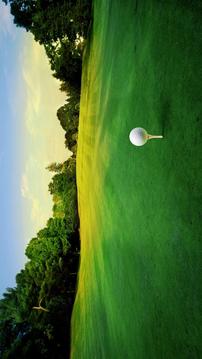Golf: MONTE CARLO Royal游戏截图3