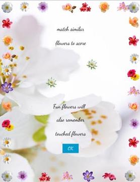 Fun flowers puzzle游戏截图2