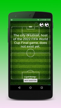 World Cup Quiz- Soccer游戏截图3