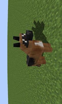 Dog Mod for MCPE游戏截图3