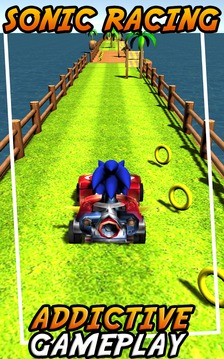 Sonic Chibi Car Racing Boom游戏截图4