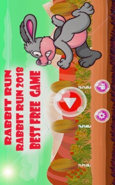Bunny Run Game游戏截图2