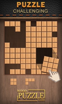 Wood Puzzle Mania -Block Puzzle Wood游戏截图2