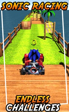 Sonic Chibi Car Racing Boom游戏截图3