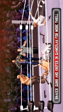 RUMBLE WRESTLING MANIA: ROYAL REVOLUTION WRESTLING游戏截图4