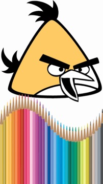 Kids Coloring Book For Angry Birds游戏截图2