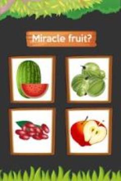 Fruits Name A-Z游戏截图4