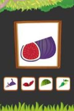 Fruits Name A-Z游戏截图3