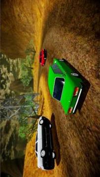 Russian Cars - Rally Master游戏截图3