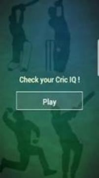 Real Game Cricket 2018游戏截图4