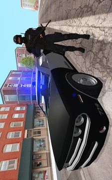 Police In Car游戏截图3