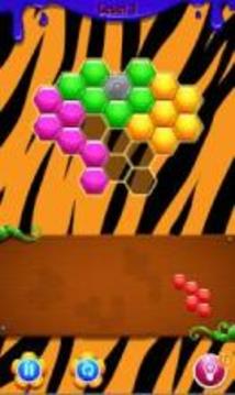 Tiger Hexagon Puzzle游戏截图2
