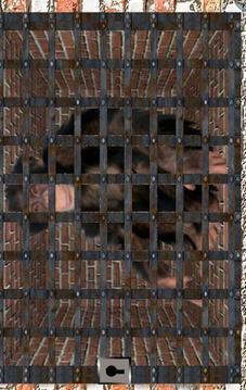 Escape Games- Abandoned Monkey游戏截图5