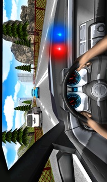 Police Driving In Car游戏截图3