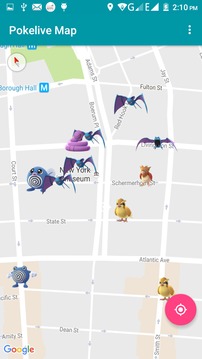 PokeLive Map游戏截图2