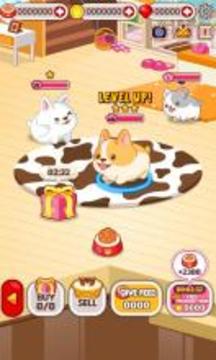 Animal Judy: Welsh Corgi care游戏截图2