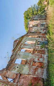 Escape Games- Abandoned Monkey游戏截图3