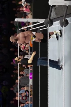 Fight WWE Action游戏截图3