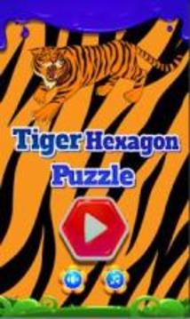 Tiger Hexagon Puzzle游戏截图5