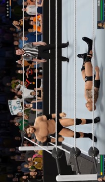 Fight WWE Action游戏截图1