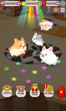 Animal Judy: Welsh Corgi care游戏截图3