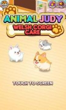 Animal Judy: Welsh Corgi care游戏截图1