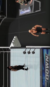 Fight WWE Action游戏截图4