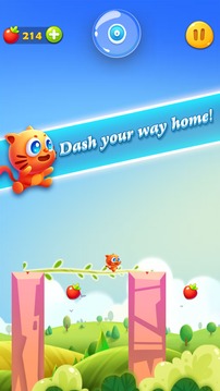 Pet Dash游戏截图2