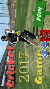 Cricket Game 2017 The Run游戏截图1