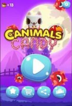 Canimals Crush - Sugar Candy *游戏截图5