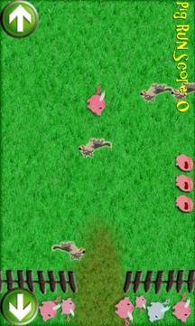 猪跑游戏游戏截图1